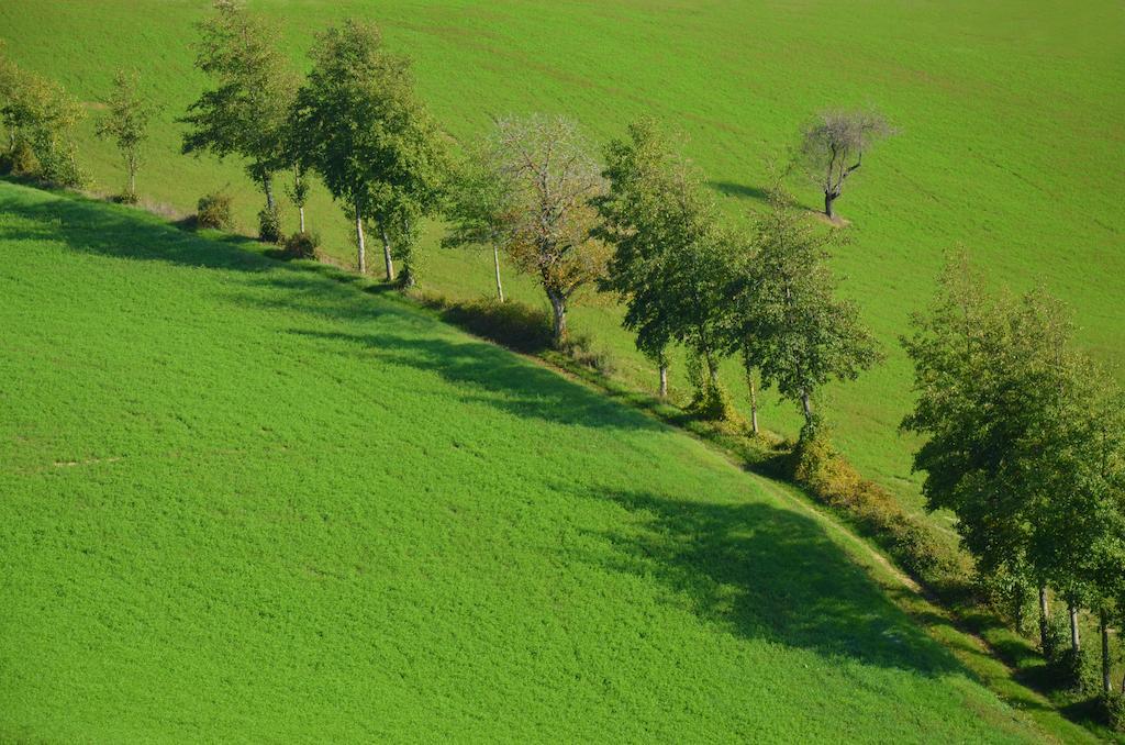 Отель La Cerreta Rocca San Casciano Экстерьер фото